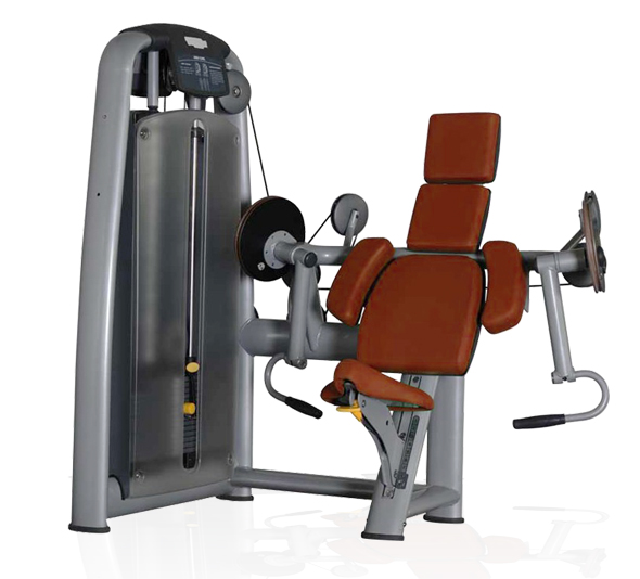 BFT2003肱二头肌训练器 室内健身器材大全批发大图展示1