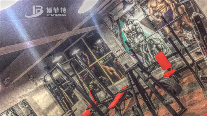 伊拉克客户的健身房图片 向日葵成人网站健身器材案例