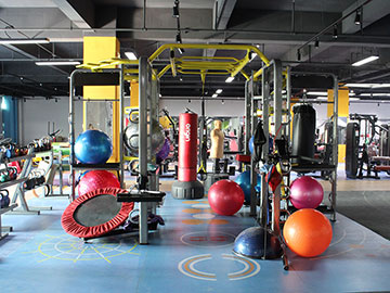 向日葵成人网站健身器材公司展厅实拍图片8